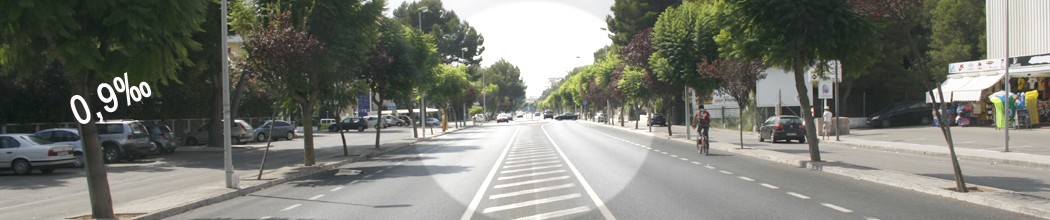 Verkehrspsychologie Roussos